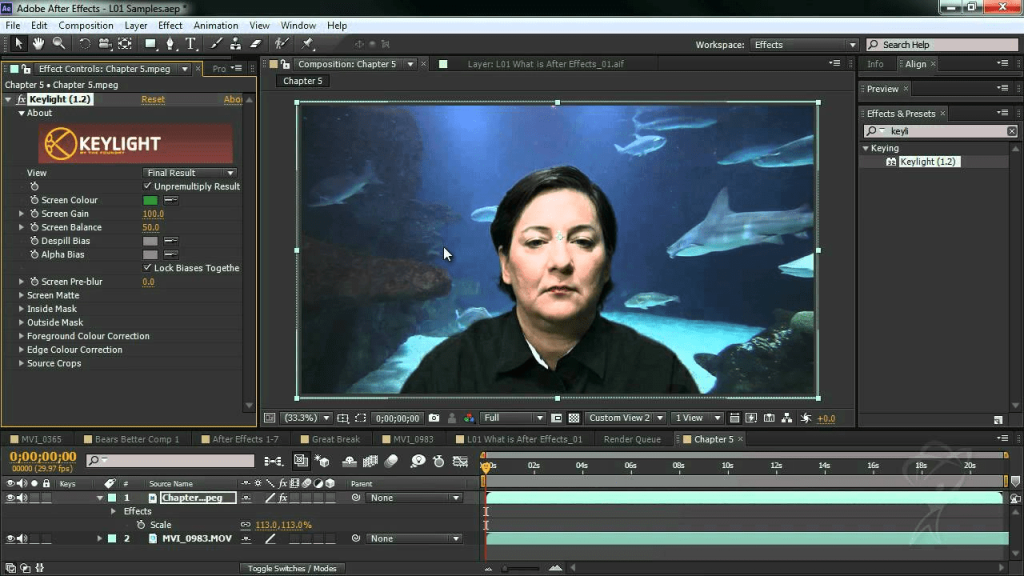 Adobe After Effects CS6